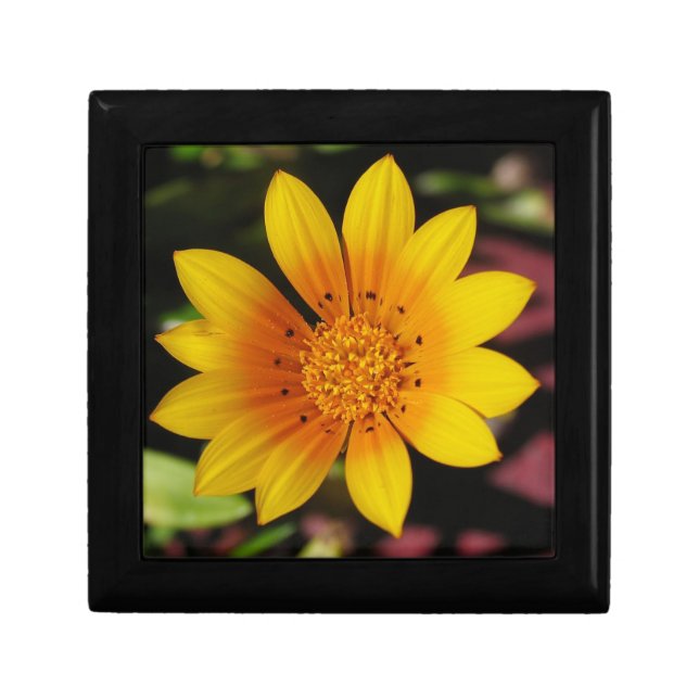 Yellow Daisy Gift Box (Front)