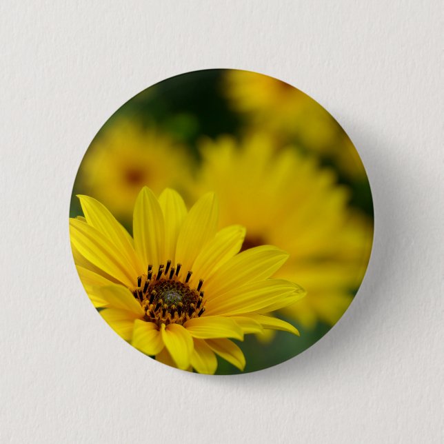 Yellow Daisy Helenium Badge Button (Front)