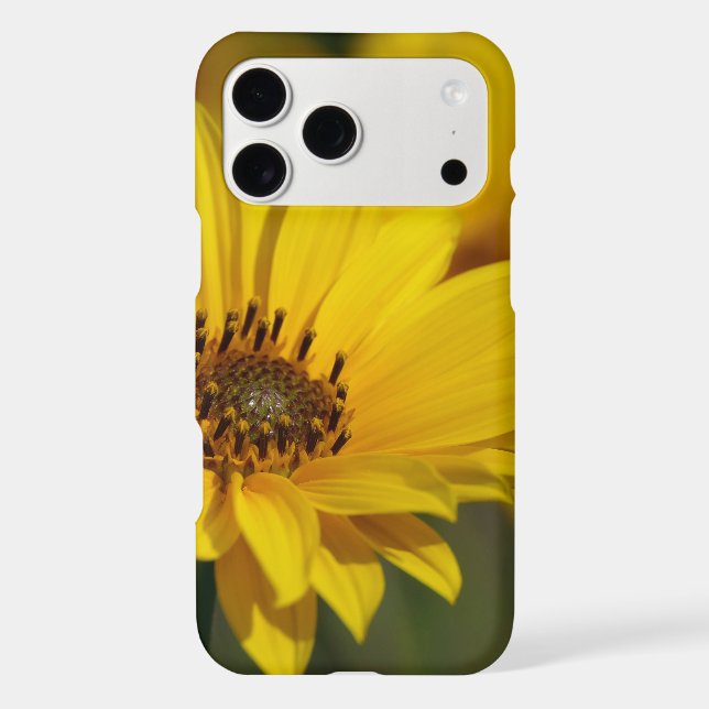 Yellow Daisy Helenium Iphone Case (Back)