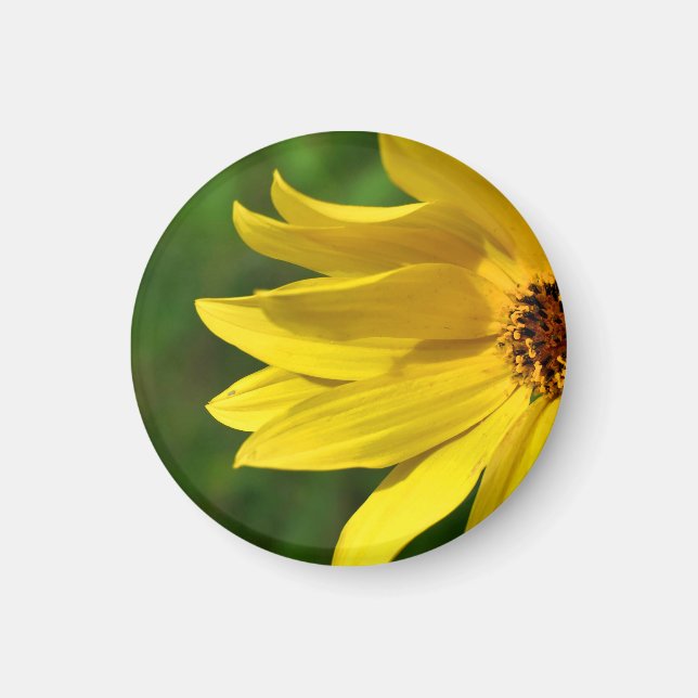 Yellow Daisy Helenium Magnet (Front)