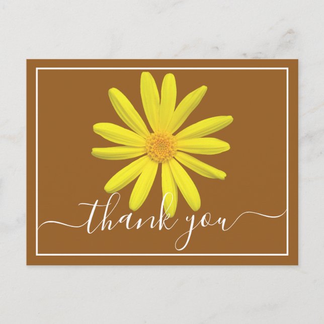 Yellow Daisy Light Brown Background Thank You Postcard (Front)