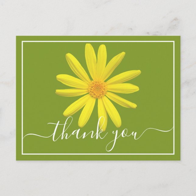 Yellow Daisy Lime Green Background Thank You Postcard (Front)