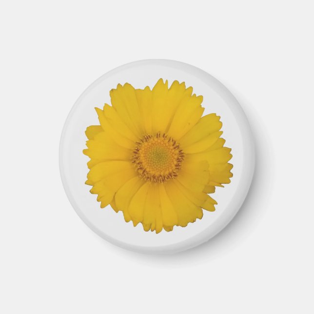 Yellow Daisy Magnet (Front)