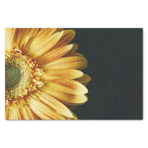 Yellow Daisy on a Black Background Tissue Paper