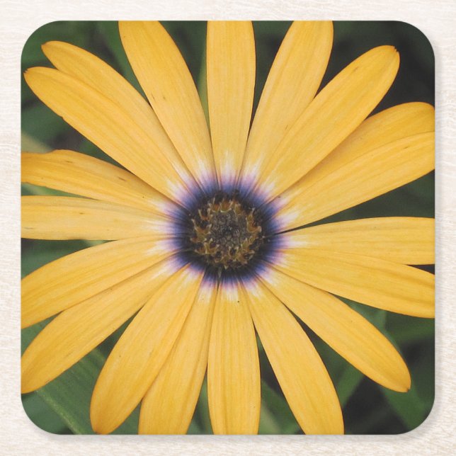 Yellow Daisy Party Coaster (Front)