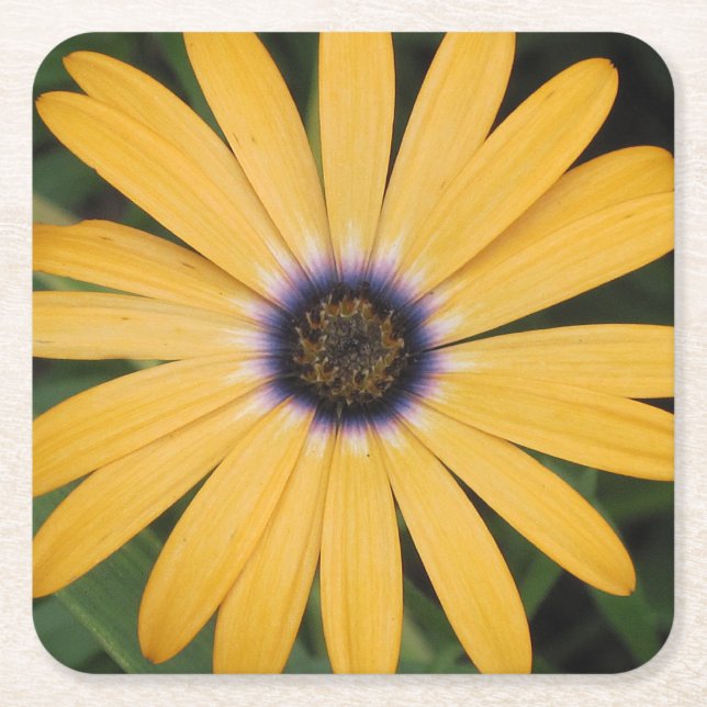 Yellow Daisy Party Coaster (Front)