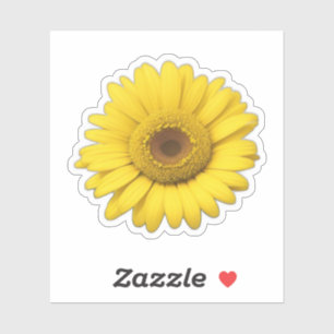 Yellow Daisy Petals Sticker