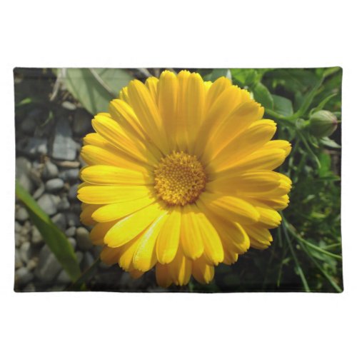 Yellow Daisy Place Mats