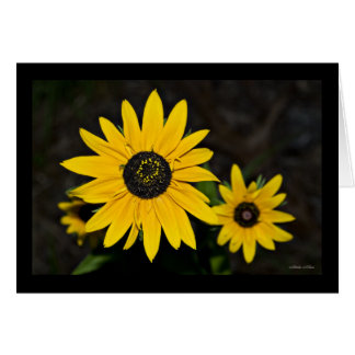 Yellow Daisy Pop Cards