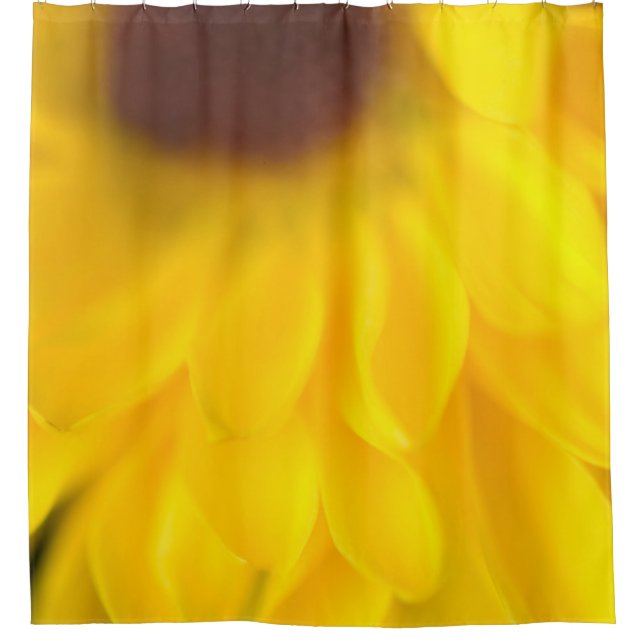 Yellow Daisy Shower Curtain (Front)