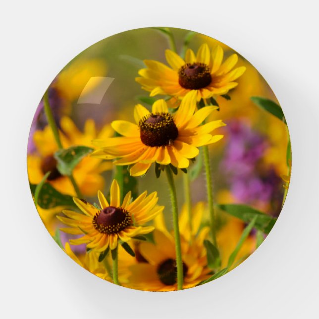 Yellow Daisy Wildflower Glass Paperweight (Front)