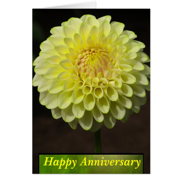 Yellow Dalia Flower Happy Anniversary Greeting Cards