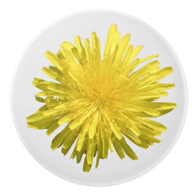 Yellow Dandelion Ceramic Knob (Front)