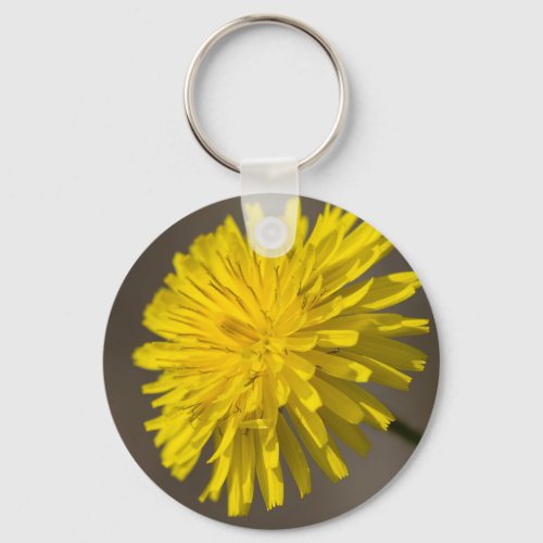 yellow dandelion in the meadow keychain