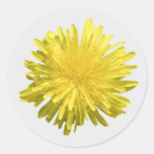 Yellow Dandelion Stickers