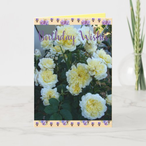 Yellow David Austin Roses Rose Garden Birthday Card