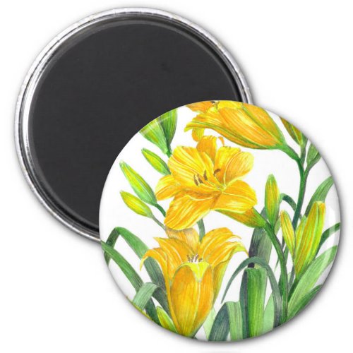 Yellow Day Lillies Magnet