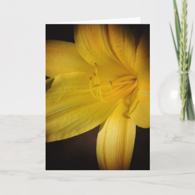 Yellow Day Lily Flower Highlight Note Card (Front)