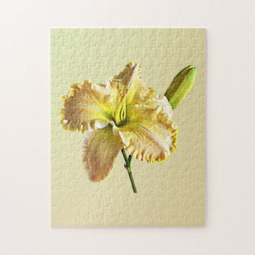 Yellow Day Lily Jigsaw Puzzle