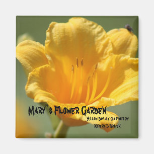 Yellow Daylilie Magnet