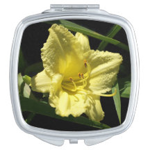 Yellow Daylily Flower Hemerocallis