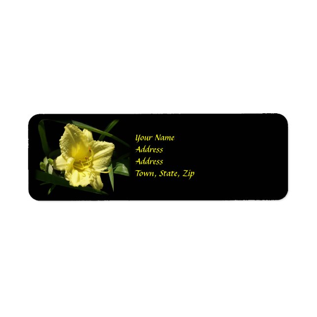 Yellow Daylily Flower Label (Front)