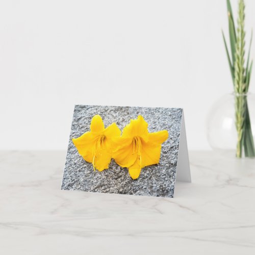 yellow daylily flowers in full bloom  thank you card