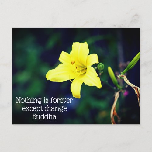 Yellow Daylily Inspirational Quote Postcard