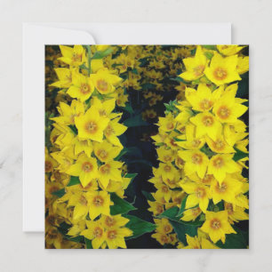 Yellow Delphinium Silk Flower Blank Card