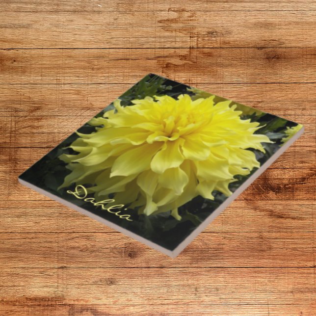 Yellow Dinner Plate Dahlia Floral Ceramic Tile (In Situ)