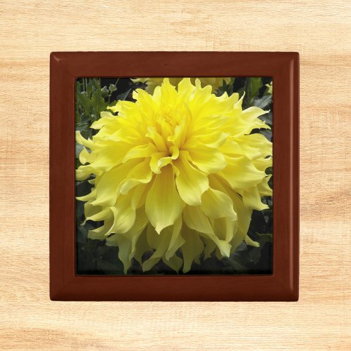 Yellow Dinner Plate Dahlia Floral Gift Box