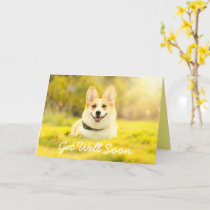 Yellow Dog and Encouragement Get Well  Card