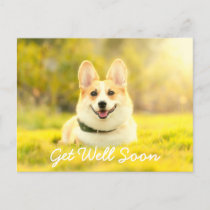 Yellow Dog and Encouragement Get Well Postcard