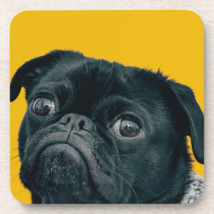 yellow dog beverage coaster