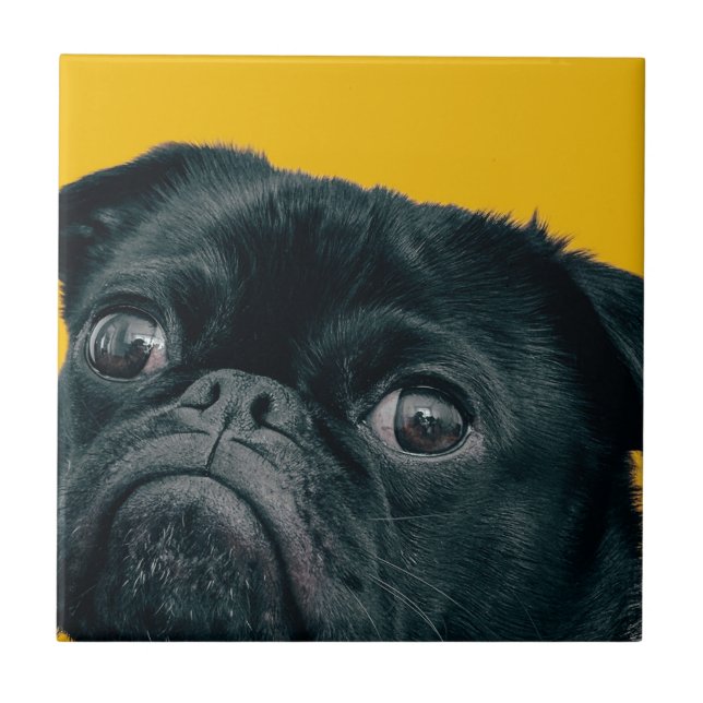 yellow dog ceramic tile (Front)