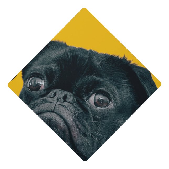 yellow dog graduation cap topper (Front)