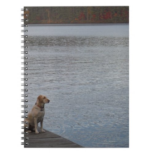Yellow dog on dock notebook