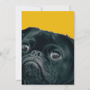 yellow dog thank you card