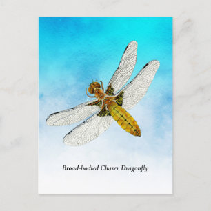 Yellow Dragonfly Watercolor Painting Postcard