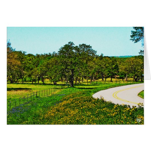 Yellow Dressed Robinson Road near Johnson City, TX (Front Horizontal)