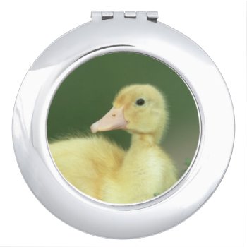 Yellow Duckling Duck Compact Mirror by walkandbark at Zazzle