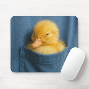 Yellow Duckling In a T-shirt Pocket Mouse Pad