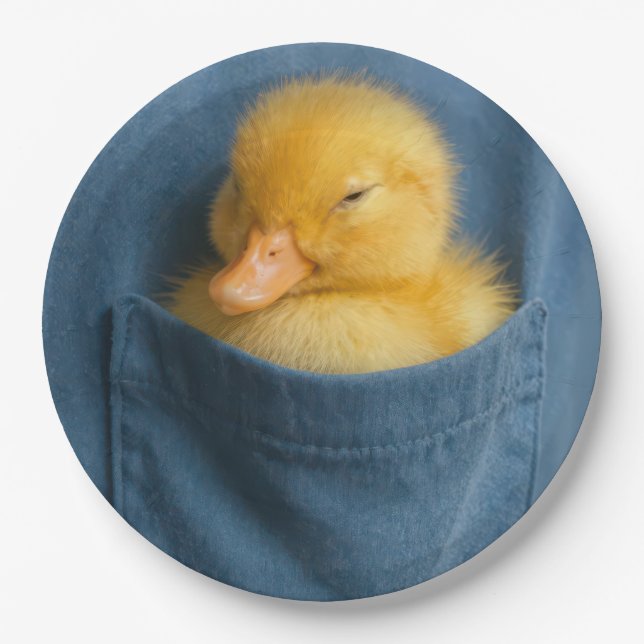 Yellow Duckling In a T-shirt Pocket Paper Plates (Front)