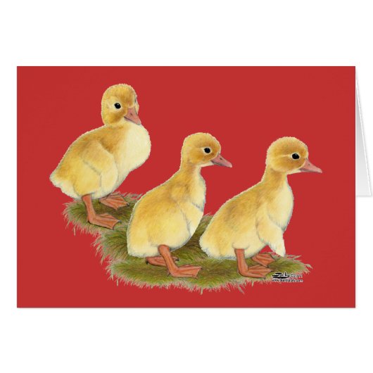 Yellow Ducklings Cards (Front Horizontal)