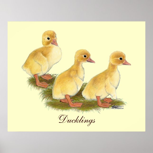 Yellow Ducklings Poster (Front)