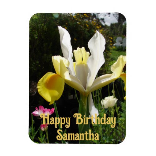 Yellow Dutch Iris Flower flowers Floral Birthday