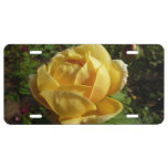 Yellow English Rose License Plate