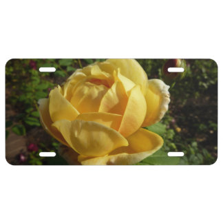 Yellow English Rose License Plate