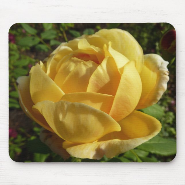 Yellow English Rose Mouse Pad (Front)