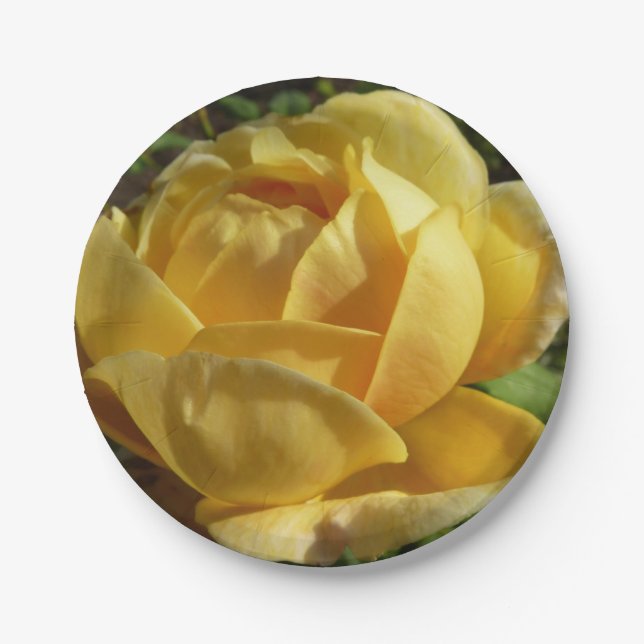 Yellow English Rose Paper Plates (Front)